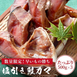㖼Y  J} 500g×3pbN   J}  yʌzĂ  TP Ă  Y    CN т̂ C̍K jY 