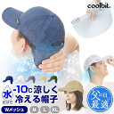 超得クーポンあり／ 水だけで涼しさ持続【 coolbit 冷える帽子 クールビット W メッシュ キャップ 】 暑さ対策 熱中症…