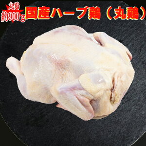 ی{Yn[u{1H900g^Cv@AEghA o[xQ [Xg`L NX}X ɂⓀBBQ AEghA Lv _b`I[u  ی{ w NX}X Xmas 