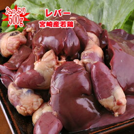 ■宮崎産“レバー”500g■(冷蔵) 若鶏　レバー100gあたり72円