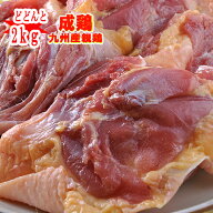 ■【宮崎産・鹿児島産】　親鶏もも肉（成鶏）2kg(100gあたり101円)※冷凍配送となります■　親鳥　業務用…