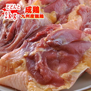 y{YEYz@e{i{j2kg(100g101~)ⓀzƂȂ܂@e@Ɩp@{@@Ɩp@