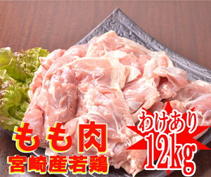 ◇訳あり◇■送料無料■業務用■南九州産“もも肉(冷凍)”12kg■※冷凍配送となります 若鶏 もも肉 ■同梱不可