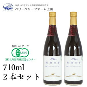 yKizL@u[x[W[Xuɂ̗v710ml×2{Zbg