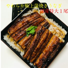やわらか極上蒲焼きうなぎ　特大1尾　（1尾約200g）　鹿児島・宮崎産　国産　うな重　うな丼　クール便　＜　鰻　丑の日　土用の丑の日　母の日　父の日　グルメ　＞