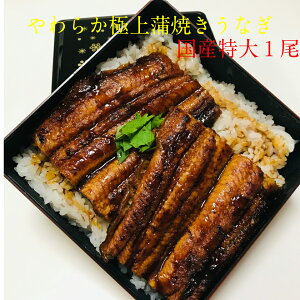 炩ɏ㊗ĂȂ@1@i1200gj@E{Y@Y@ȏd@Ș@N[ց@@V@N̓@yp̉N̓@̓@̓@O@