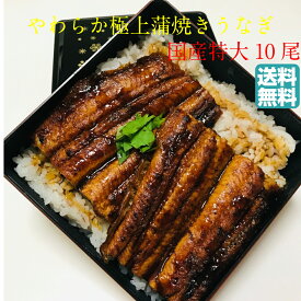やわらか極上蒲焼きうなぎ　特大10尾　（1尾約200g）　鹿児島・宮崎産　うな重　うな丼　クール便　＜　鰻　丑の日　土用の丑の日　＞