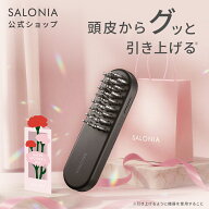 ≪神トク10%OFFクーポン≫ 《公式店》最上位モデル 【 SALONIA EMS リフトブラシ 3Dケア 】 サロニア 美…