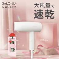 《公式店》【 SALONIA スピーディー イオンドライヤー】楽天1位★累計400万台突破！サロニア 送料無料 1…