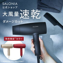 楽天市場】ドライヤー 大風量 速乾の通販