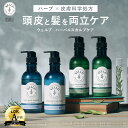 薬用 シャンプー スカルプシャンプー フケ かゆみ【 WELLP ウェルプ スカルプケア [ 医薬部外品 ]送料無料 BOTANIST ボタニスト から登場 2025 プレゼント ギフト