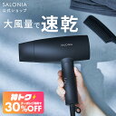 ＜8/4 20時〜 神トク30％OFFクーポン＞《公式店》【SALONIA スピーディー イオンドライヤー】楽天1位★累計400万台突…