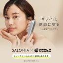 楽天1位《公式店》SALONIA × にじさんじ【 SALONIA サロニア EMS リフトブ… | 大人が楽しむ工作！工作は子供だけのもの