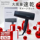 《公式店》【SALONIA スピーディー イオンドライヤー】楽天1位★累計400万台突破！サロニア 送料無料 1年保証付 ◆30日間全額返金保証◆速乾 大風量 プレゼント ギフト ヘアアイロン ヘアードライヤー 旅行 hk [セール ～12/11 23:59]