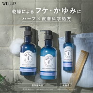 薬用 シャンプー スカルプシャンプー フケ かゆみ【 WELLP ウェルプ スカルプケア [ 医薬部外品 ]送料無…