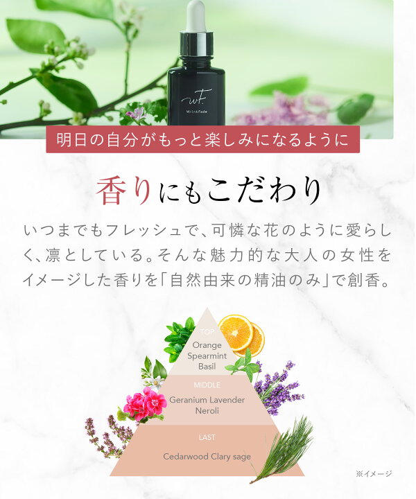 楽天市場】《公式店》【WrinkFade リンクフェード 薬用リンクルケア  