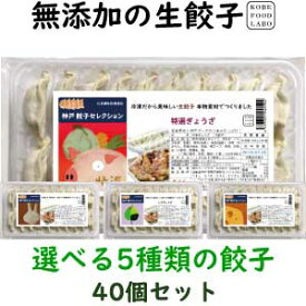 美味しい無添加餃子5種類から選べる冷凍生餃子2パック　40個　オリジナル特製餃子のたれ100ml 1本2,880円　送料込み(一部地域除外)お好きな餃子を2パックお選び下さい