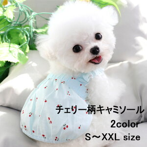 hbOEGA `F[L~\[  ybg `F[ L~ L~\[  ^ ^  Rbg t o U hbOEFA TVc іh~ ybg L 