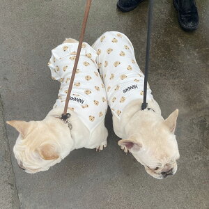  t L~\[ ^Ngbv s[X hbOEFA t`uhbO  ^ ^  _炩 ܕ Ȃ m[X[u yAbN L  ̎q j̎q