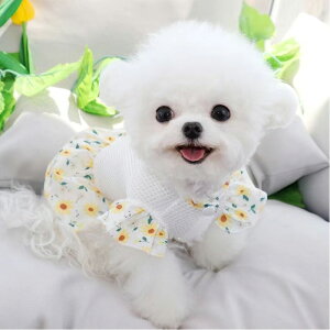 yX[p[Z[z  n[lX s[X 킢 ^ ĕ  bV    t`uhbO lC  EFAn[lX ̎q j̎q v[