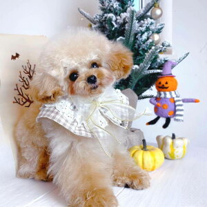 yX[p[Z[z撅10̔ynhChz`FbÑ`[{X^C l[hJ