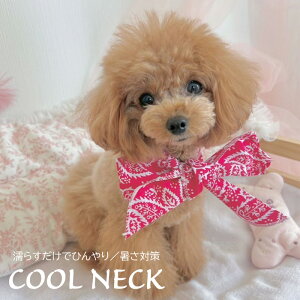 yzN[lbN  L 2025N V o_i  ΍ Ђ Xk[h  ⊴ p ₷ ߂ ^ ^ ^