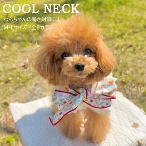 yzN[lbN  L 2025N V ԕ t[  ΍ Ђ Xk[h  ⊴ p ₷ ߂ M L