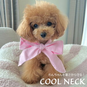 yzN[lbN  L 2025N V n XgCv   ΍ Ђ Xk[h  ⊴ p ₷ ߂ ^ ^ ^