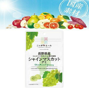 S_ jb|G[ O~@쌧Y VC}XJbg 40g@Sn@ʏ`@݁@Y@ʎ@Y@@lC@َq