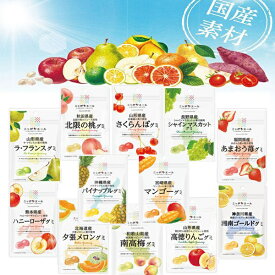 全農 ニッポンエール グミ　20個セット 10種　全国ご当地　果汁　ぐみ　国産　果実　特産　美味しい　人気　菓子　送料無料