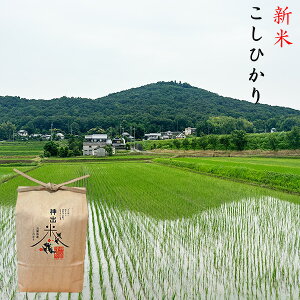 新米 コシヒカリ 神出米 玄米 白米 【受注後精米】 2kg 5kg 10kg 令和7年産 兵庫県産 農家 無洗米 米 お米 送料無料