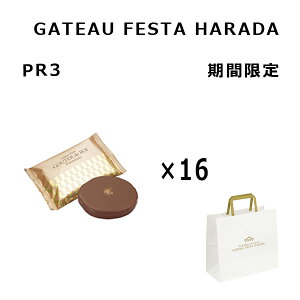 \񏤕i 11/5` n_@XN@v~A@16@Ԍ `R[g @Kg[tFX^n_@@@󂠂@َq@L@@lC@