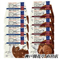 レトルト食品 詰め合わせ ハンバーグ ビーフカレー 中辛 2種10食入 セット 自宅用 【送料無料 沖縄除く …