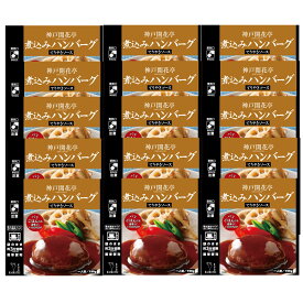 レトルト食品 詰め合わせ ハンバーグ てりやきソース セット 自宅用 1人前190g 【送料無料 沖縄除く のし 包装不可 簡易梱包】 神戸開花亭 高級 レトルト 常温 惣菜 おかず 温めるだけ 洋食 一人暮らし 仕送り 常温保存 福袋 レンジ対応 湯煎