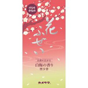 J}ЃJ}@Ԃӂ@ ~ykCE͕ʓrKvzyCPTz