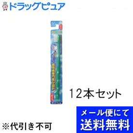 【本日楽天ポイント5倍相当】【☆】【●●メール便にて送料無料でお届け 代引き不可】大正製薬デントウェル　歯医者さん W植毛ふつう　1本入×12本セット(メール便のお届けは発送から10日前後が目安です)