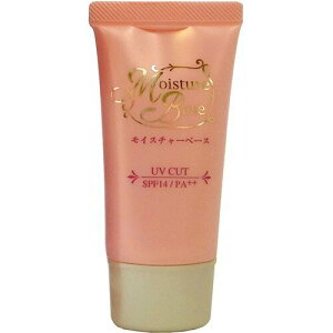 y|Cg13{znCϕiЁECX`[x[X(SPF14EPA++)30gii14x܂jykCE͕ʓrKvzyCPTz