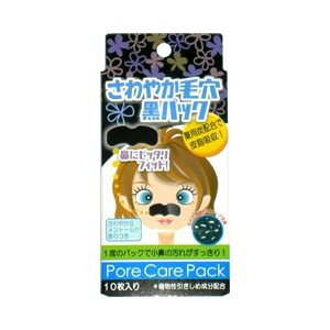 y{yV|Cg5{zyz򊔎Ђ₩ьpbN ( 10 )x̃pbNŏ@̉ꂪIyzyCPTz