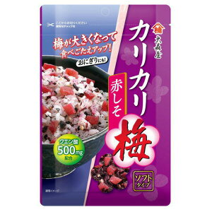 【本日楽天ポイント5倍相当】株式会社 大森屋カリカリ梅赤しそ 40g×10個セット【RCP】【■■】