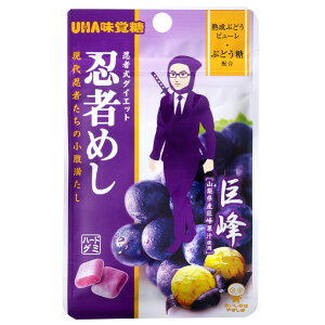 y{yV|Cg5{zyzoДE҂߂@ 20g×10Zbgyz