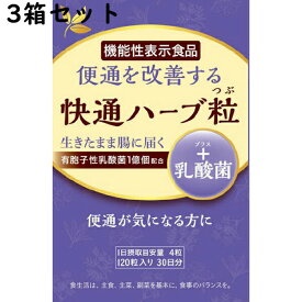 【本日楽天ポイント5倍相当】【送料無料】【お任せおまけ付き♪】【あす楽15時まで】有限会社ナチュラルウェーブ快通ハーブ粒+乳酸菌　120粒×3個セット【機能性表示食品(便通が気になる方に)】【RCP】関連商品：楽美健快　快適ハーブ粒【△】