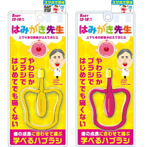 ЃIJ݂͂搶 xr[OuV 1{yRCPz