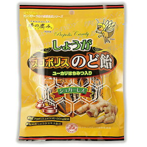 y{yV|Cg5{zyzyC܂tzЃTt[Ǐb݁@傤v|X̂ǈ80g×25܃ZbguWYv|X+uWY[J