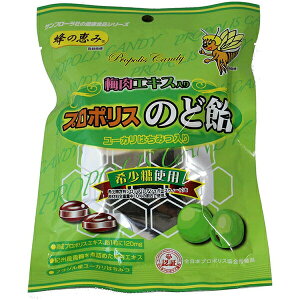 y{yV|Cg5{zyzyC܂tzЃTt[Ǐb݁@~GLX@v|X̂ǈ80g×25܃ZbguWYv|X+[J