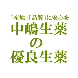 【3％OFFクーポン 4/30 00:00～5/6 23:59迄】【送料無料】【お任せおまけ付き♪】中嶋生薬株式会社　ナカジマ　またたび　500g入(日本産・生)(又度・マタタビ。別名：木天蓼・モクテンリョウ)【RCP】【△】