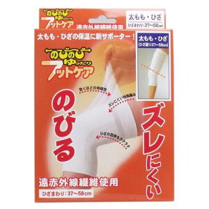 y{yV|Cg5{zy[ւőł͂ szЃnVEjbĝт̂тہ[[@ЂEt[ 1yML385z