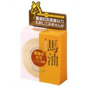 y{yV|Cg5{zy[ւőł͂ szЃ[[@n΂@100gyRCPzyML385z