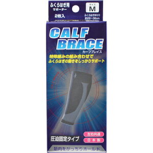 y{yV|Cg5{zy[ւőł͂ szАVuCXT|[^[ ӂ͂J[tuCX Mi2jؓz[hyML385z