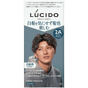 yBLACK FRIDAY 11/20 20:00`3OFFN[|IzyzЃ}_ LUCIDO(V[h) fUCwAJ[ N[AbV  Yy򕔊Oiz 1 35g^2 70ml^At^[g