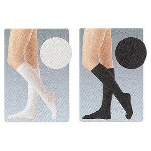 APAЃAVN@roiX@nC\bNXieXgbLOj@×pMTCYy̏i͔܂ł7-14ꍇ܂zỹLZ͂ł